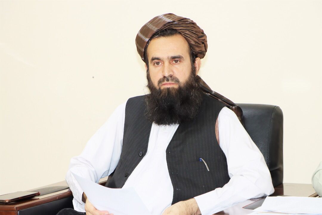 معاون پالیسی