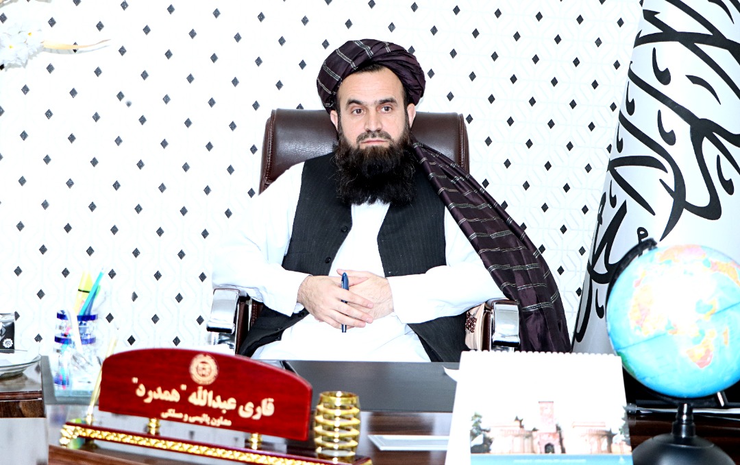 معاون پالیسی 