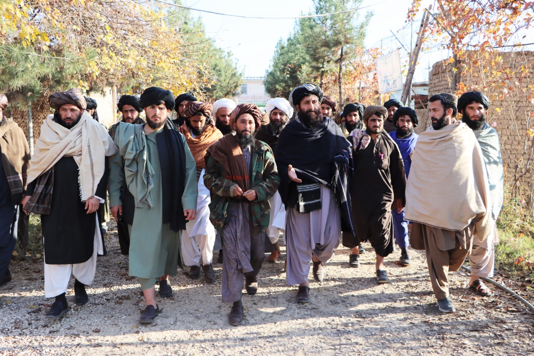 سفر به ولایات 