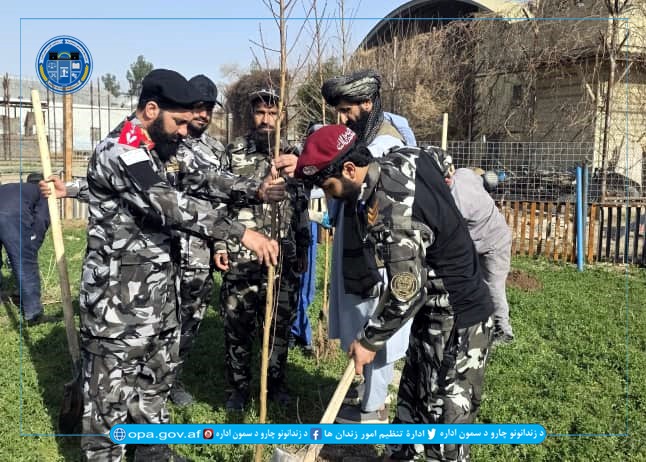 ولایتی